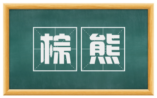 棕熊