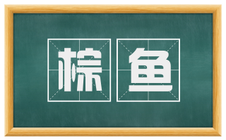棕鱼