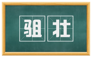 驵壮