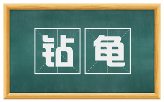 钻龟