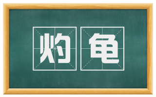 灼龟