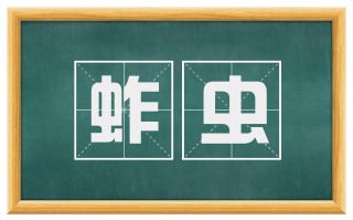 蚱虫