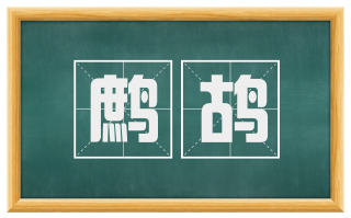 鹧鸪