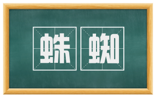 蛛蜘