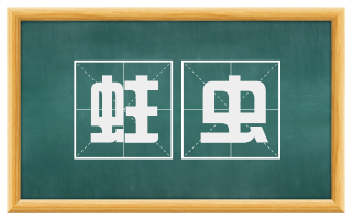 蛀虫