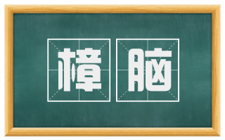 樟脑
