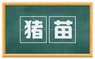 猪苗