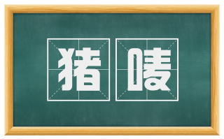 猪唛