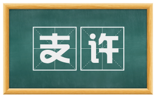 支许