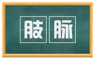 肢脉