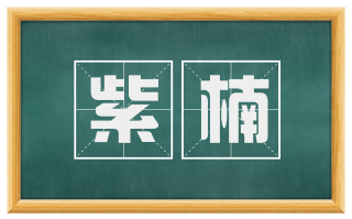 紫楠