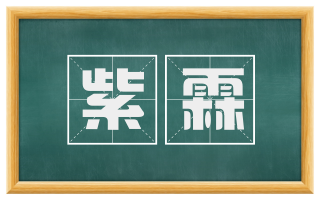 紫霖
