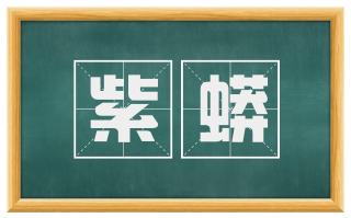 紫蟒