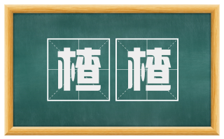 楂楂