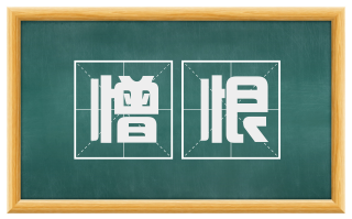 憎恨