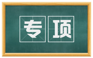 专项