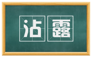 沾露