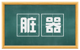 脏器