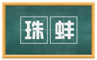 珠蚌