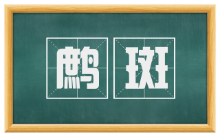 鹧斑