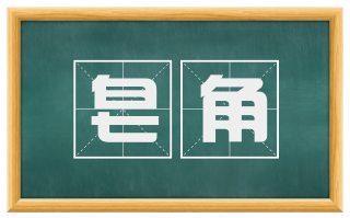 皂角