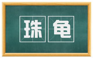 珠龟