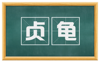 贞龟