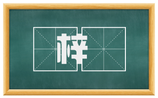 梓椑
