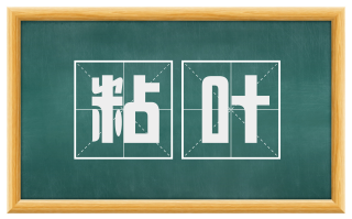 粘叶